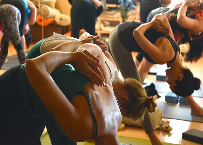 yoga1 yoga1